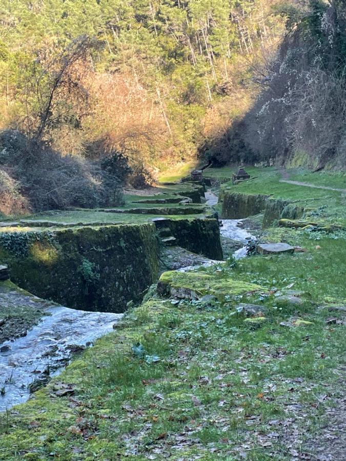 La Dimora Di Corte * Lucca