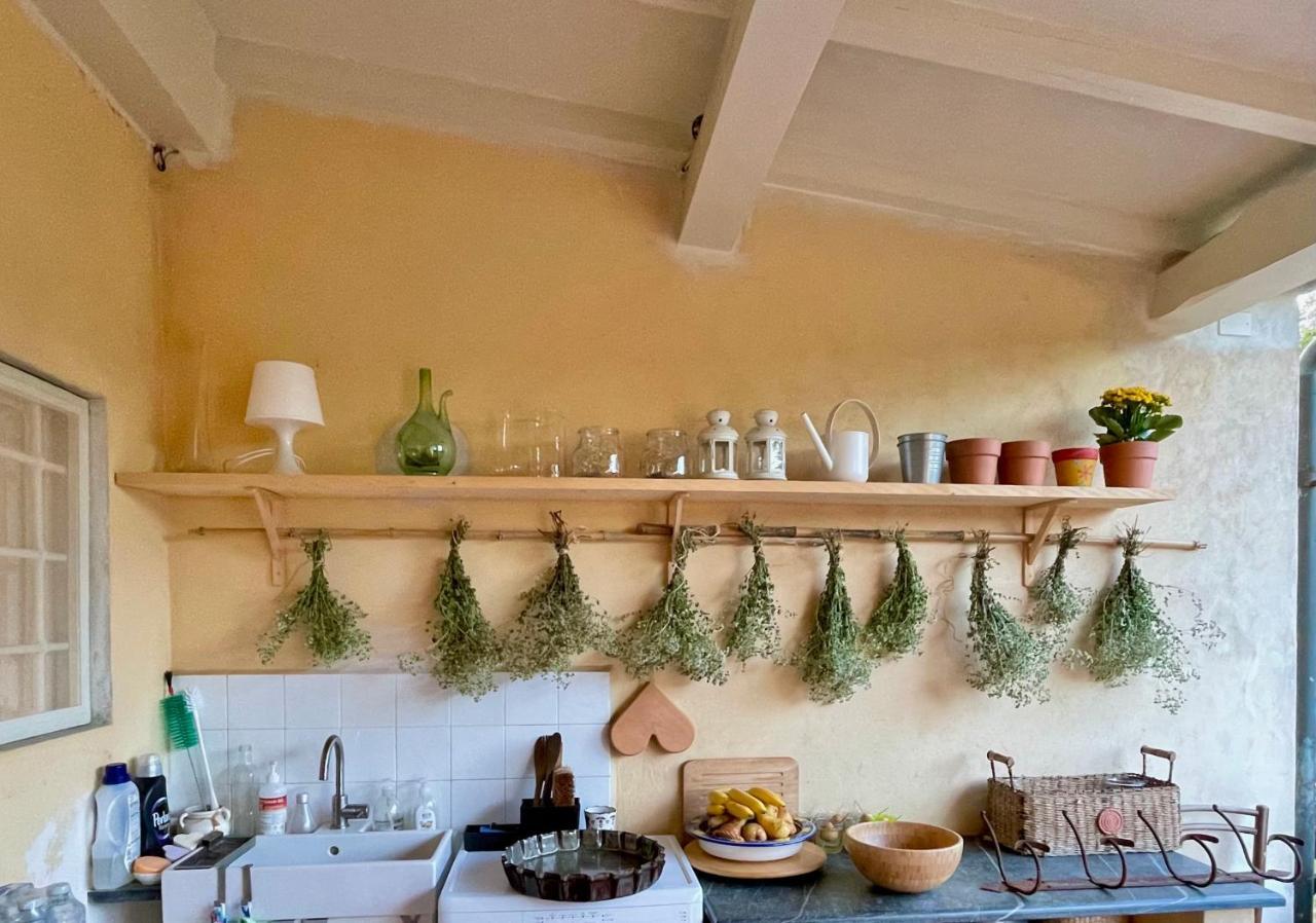 Homestay La Dimora Di Corte Lucca